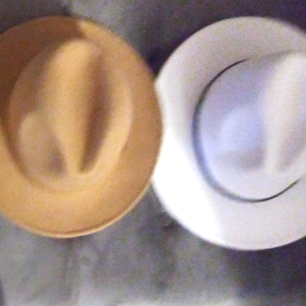 Fedora Hats - Picture 2 of 2